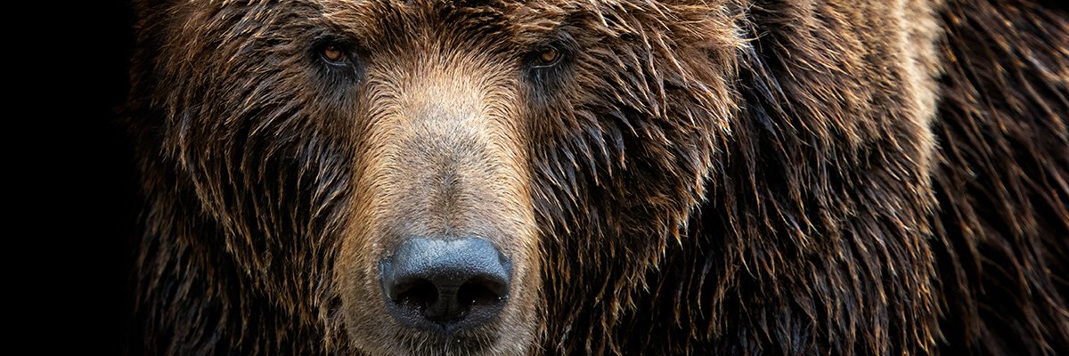 NCSC issues fresh alert over wave of Cozy Bear activity | Computer Weekly